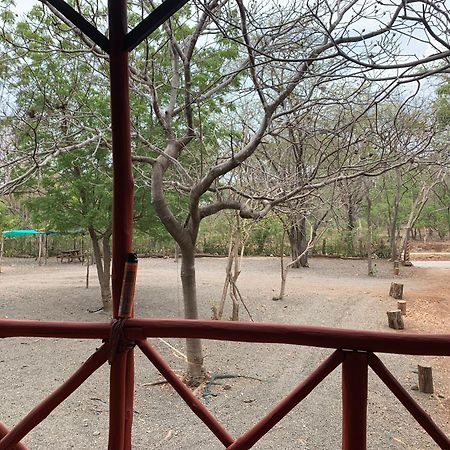 Nieves Surf Hostel And Camping بلايا أفيينا المظهر الخارجي الصورة
