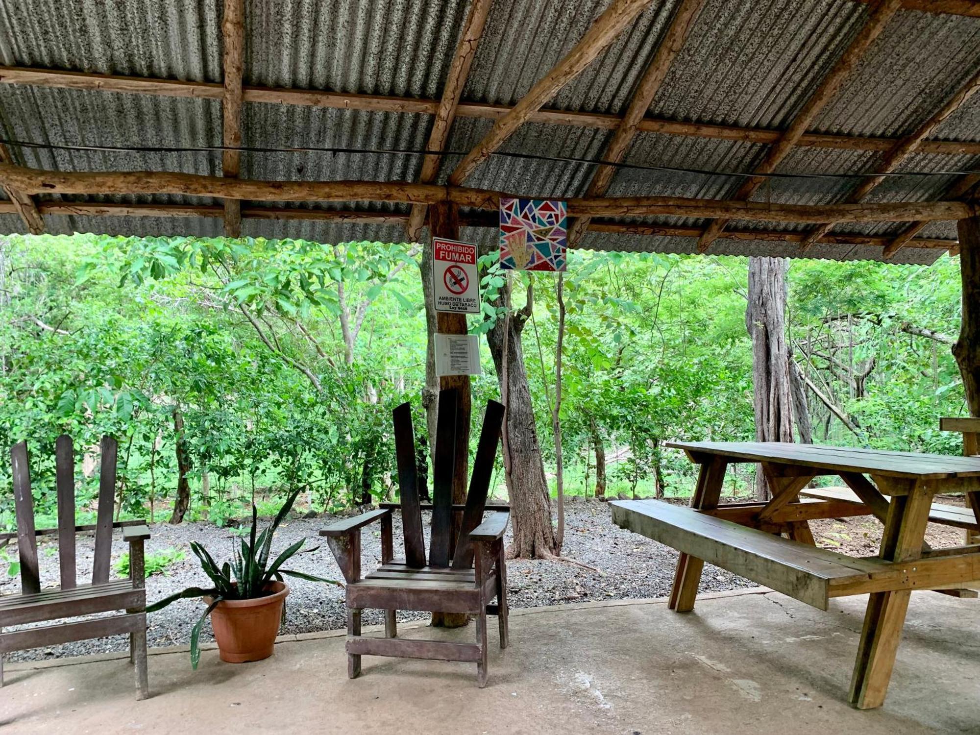 Nieves Surf Hostel And Camping بلايا أفيينا المظهر الخارجي الصورة
