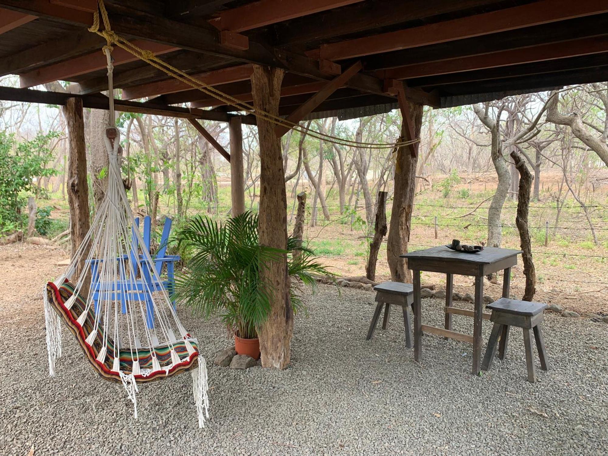 Nieves Surf Hostel And Camping بلايا أفيينا المظهر الخارجي الصورة