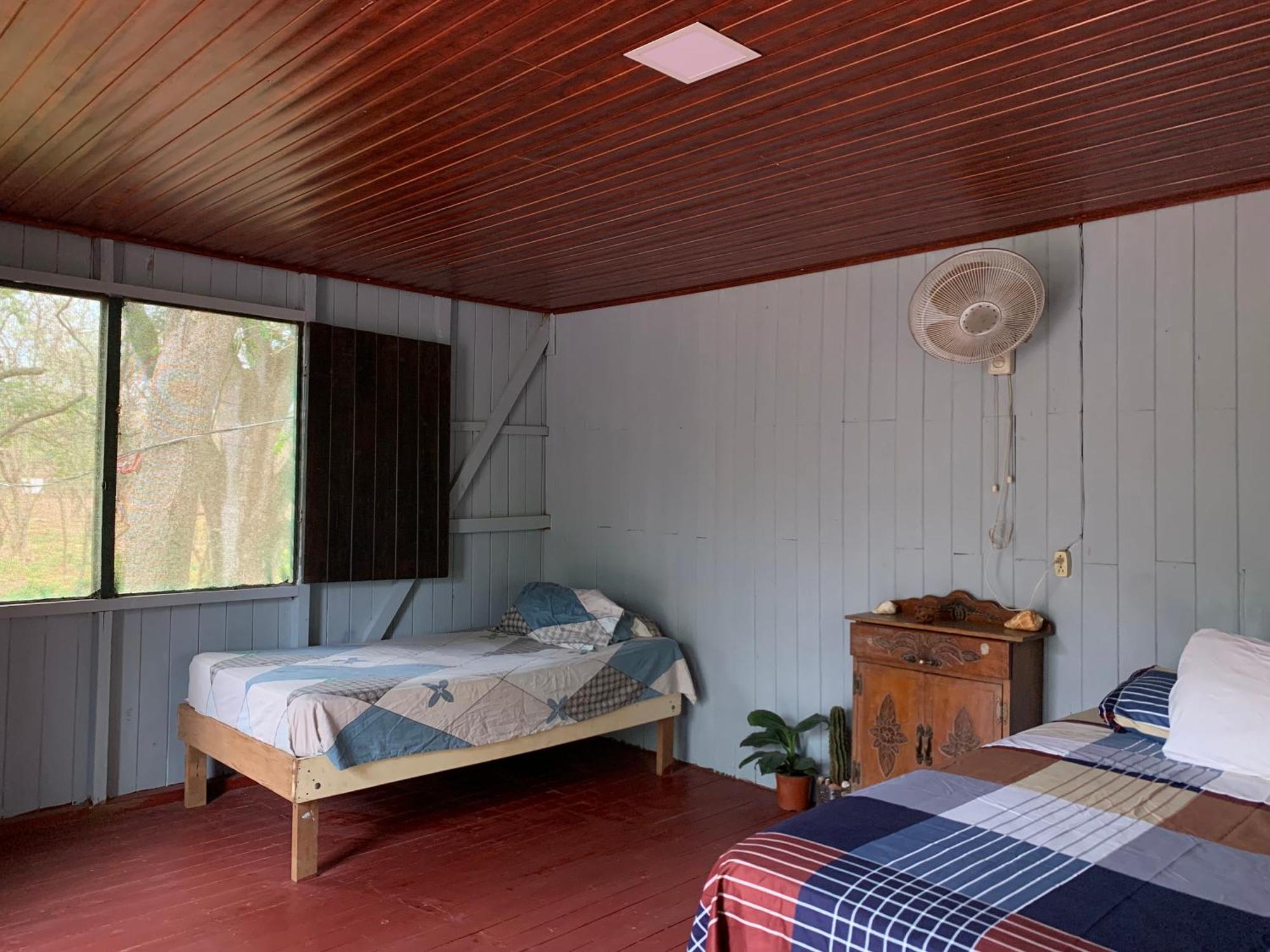 Nieves Surf Hostel And Camping بلايا أفيينا المظهر الخارجي الصورة